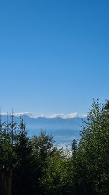 Widok na Tatry z żółtego szlaku na wysokości ok. 1000m n.p.m.
