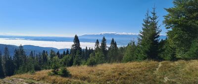 Bukowina Miejska ↔ Wisielakówka [Widok na Tatry i zasnute chmurami Jezioro Czorsztyńskie z Polany Świedrowej]