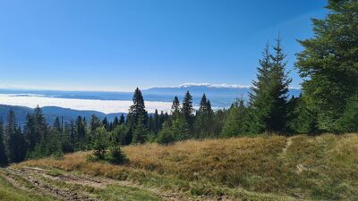 Widok na Tatry i zasnute chmurami Jezioro Czorsztyńskie z Polany Świedrowej