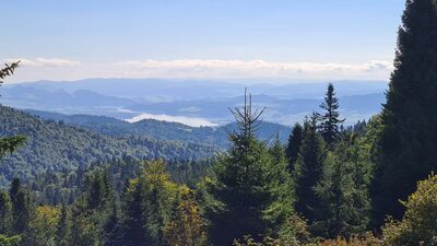 Widok na Jezioro Czorsztyńskie z zielonego szlaku na Turbacz