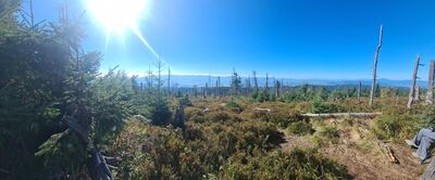 Panorama Tatr z Turbacza