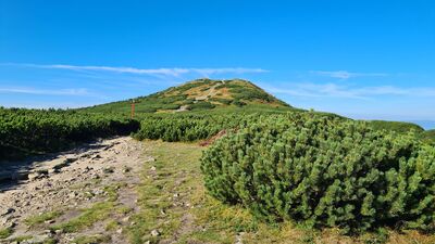 Widok na Babią Górę z czerwonego szlaku
