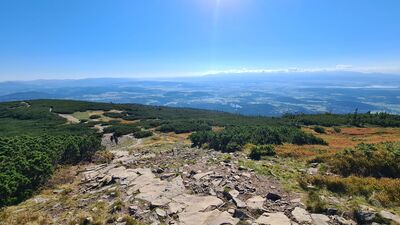 Widok w kierunku Tatr z podejścia na Babią Górę