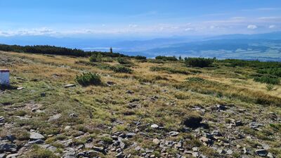 Widok na Oravy z Kościółków