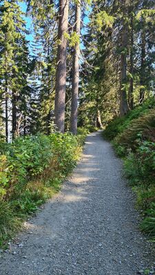 Niebieski szlak na przecięciu z potokiem Szumiąca Woda