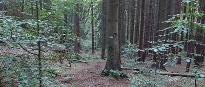 Pod Kruczą Kopą ↔ Dańczów, granica parku narodowego