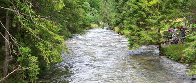 Cudakowa Polana