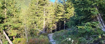 Starorobociańska Rówień