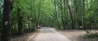 Odejście ścieżki spacerowej