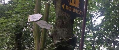 Odejście ścieżki spacerowej