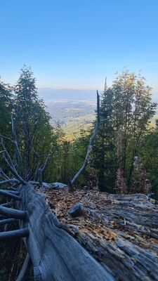 Widok ze szlaku zielonego w stronę Podtatranska kotlina