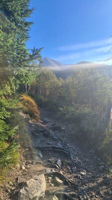 Widok na Krywań z zielonego szlaku na wysokości ok. 1480 m n.p.m.