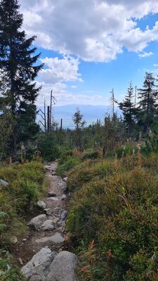 Niebieski szlak na wysokości ok. 1520 m n.p.m.