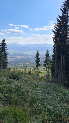 Widok na Nizkie Tatry z czerwonego szlaku