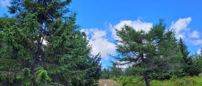 Sněžné věžičky, rozc. ↔ Rozmezí