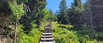 Pod sedlem Holubníku ↔ Černá hora kristiánovská