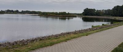 Bąków ↔ Kluczbork, Rondo Orląt Lwowskich [Kluczbork Zbiornik Wodny]