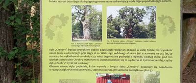 Olesno, Urząd Miasta ↔ Stare Olesno, zalew [Siedem Źródeł w Oleśnie]