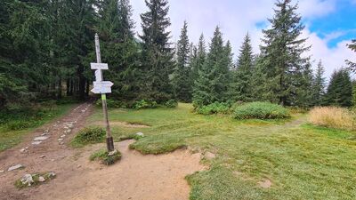 Iwaniacka Przełęcz 1459 m n.p.m.