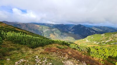 Panorama na Dolinę Starobociańską z zielonego szlaku na Ornak na wysokości ok. 1770 m n.p.m.