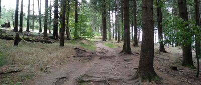 Pod Šerlišským mlýnem ↔ Nad Národním domem