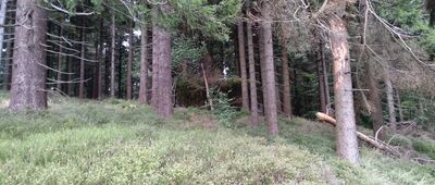 Sedloňov Černý kříž ↔ Nad Národním domem [Rzopik]