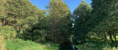 Rozejście szlaków ↔ Mostek na Gniłej Obrze