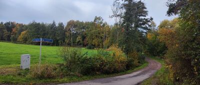 Las Chorowicki ↔ Chorowice, kaplica [Chorowice]