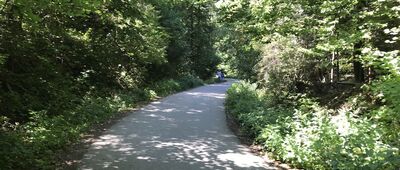 Czorsztyn, zamek - kasa ↔ Zamek Czorsztyn