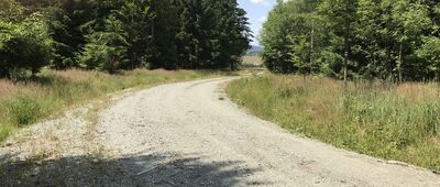 Lesica, rozejście szlaków ↔ Czerwony Strumień