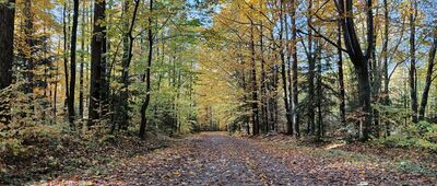 Rezerwat Skałki Piekło pod Niekłaniem ↔ Ciechostowice