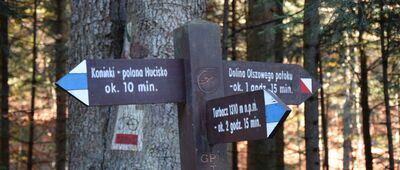 Potok Turbacz, odejście ścieżki edukacyjnej