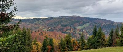 Przełęcz Łączecko ↔ Wisła, Mrozków [MAŁY STOŻEK]