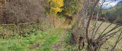 Korzeniowy Dół ↔ Skowieszynek