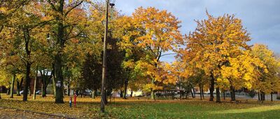 Wąwolnica [skwer w Wąwolnicy]