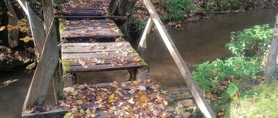 Mników, Rezerwat Dolina Mnikowska [most w Mnikowie]