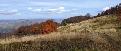 Przełęcz Przysłup ↔ Jasło [Bieszczady - żółtym szlakiem na Duże Jasło]