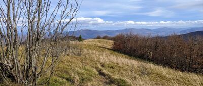 Przełęcz Przysłup ↔ Jasło [Bieszczady - widok z Dużego Jasła w kierunku Smereka i Połonin]