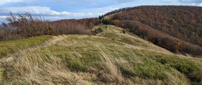 Odejście ścieżki przyrodniczej ↔ Jasło [Bieszczady - Małe Jasło od północy]