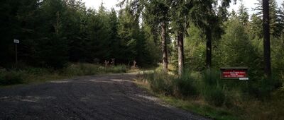 Drogi pożarowe 14/14 A