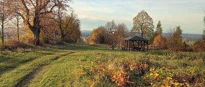 Zaborze, Masłoniowizna ↔ Choroń, parking [Choroń Aleja Lipowa]