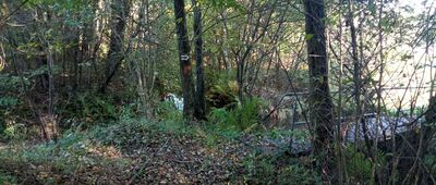 Malęda [Malęda mostek]