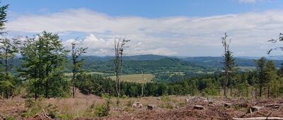 Rozejście szlaków ↔ Rozhledna Žaltman, odbočka