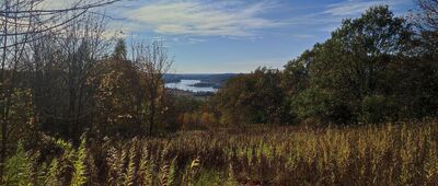 Rozejście szlaków ↔ Parchatka, przystanek autobusowy [Dolina Wisły]