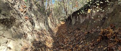 Rozejście szlaków ↔ Parchatka, przystanek autobusowy