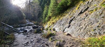 Wąwóz Homole na początku szlaku zielonego