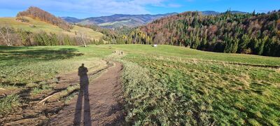 Panorama z Polany pod Wysoką na wysokości ok. 800 m n.p.m.
