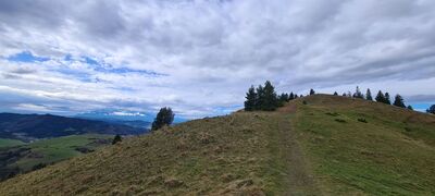 Widok na Wysoki Wierch 898 m n.p.m.