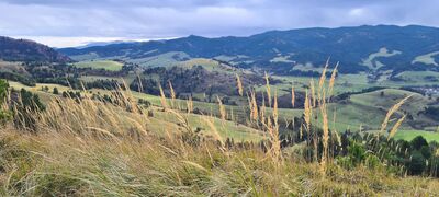 Widok z ławeczki spod Wysokiego Wierchu