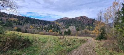 Widok z żółtego szlaku na Przełęcz Klimontowską, Jarmutę oraz Czupranę